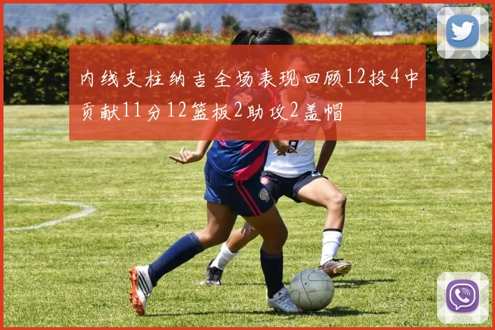 内线支柱纳吉全场表现回顾12投4中贡献11分12篮板2助攻2盖帽