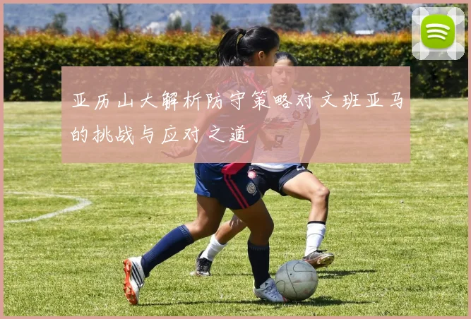 亚历山大解析防守策略对文班亚马的挑战与应对之道